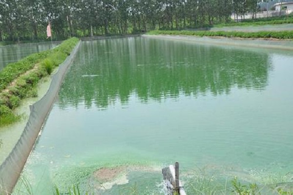 廣東漁業(yè)養(yǎng)殖水質檢測價格和項目